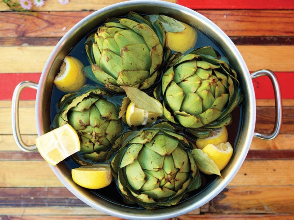 artičoka
